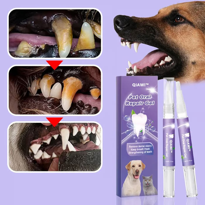 🐕 Buy 1 get 1 free 🐱 QIAWI™ Pet Oral Repair Gel 🌈