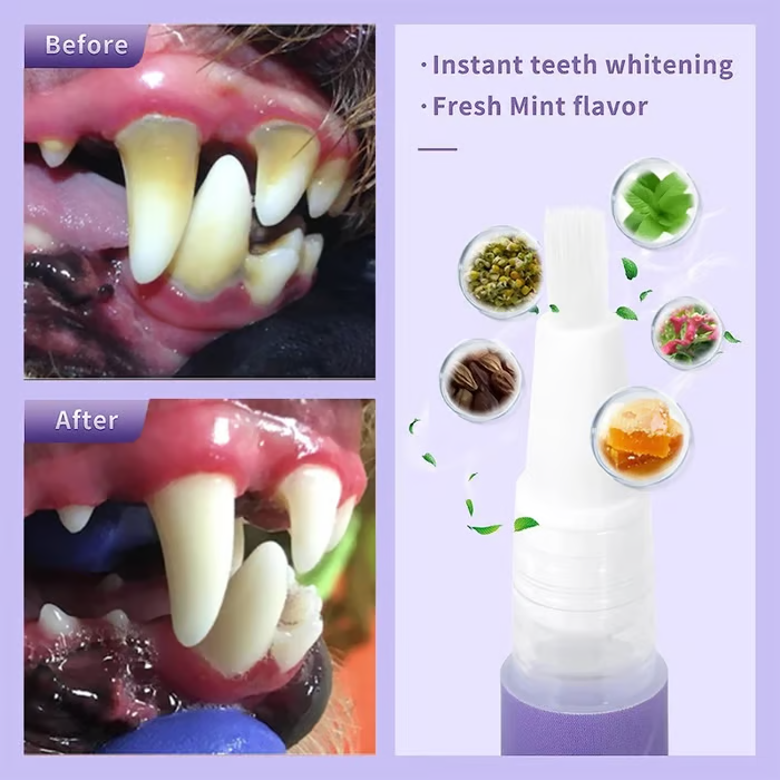 🐕 Buy 1 get 1 free 🐱 QIAWI™ Pet Oral Repair Gel 🌈