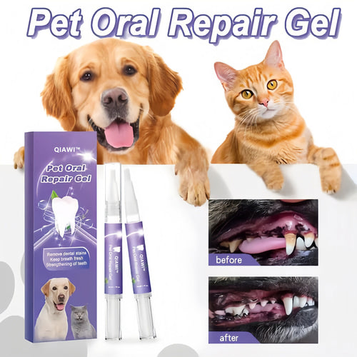 🐕 Buy 1 get 1 free 🐱 QIAWI™ Pet Oral Repair Gel 🌈
