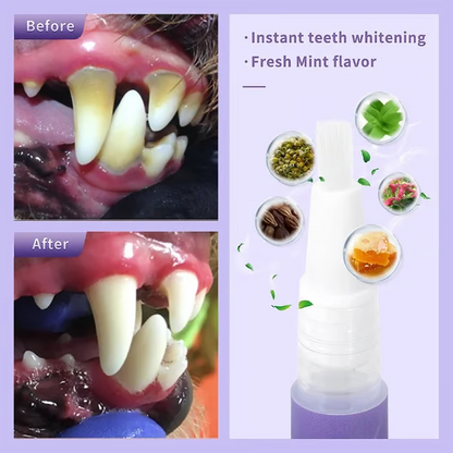 🐕 Buy 1 get 1 free 🐱 QIAWI™ Pet Oral Repair Gel 🌈
